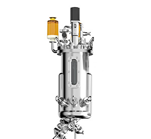 不銹鋼發酵罐罐體圖