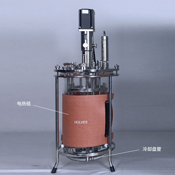 霍爾斯（HOLVES）實驗發酵罐