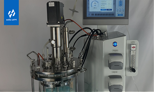 發酵罐常見故障原因