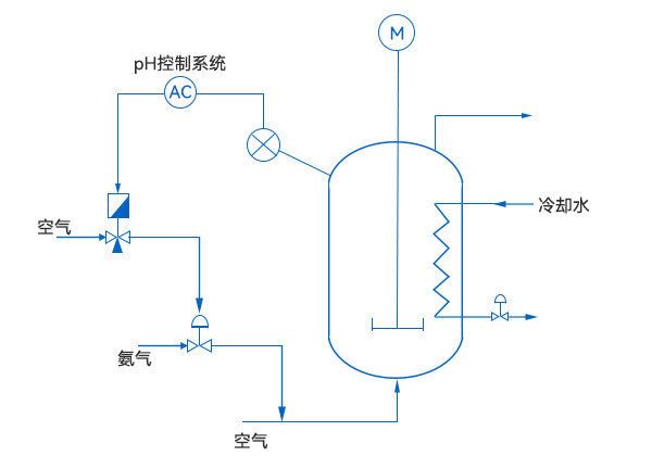 熱電阻示意圖 pH控制