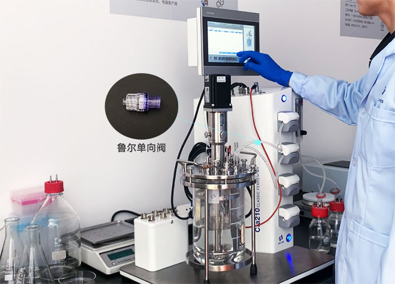 玻璃發酵罐補料魯爾單向閥 玻璃發酵罐補料魯爾單向閥