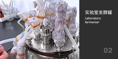 實驗室發酵罐滅菌
