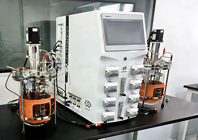 霍爾斯實驗室雙聯發酵罐Twin220 霍爾斯實驗室雙聯發酵罐Twin220